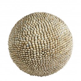 Boule DAMA