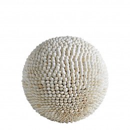 Boule DINA